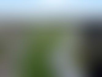 February 2024 Site Update