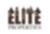 Elite Logo 1.png