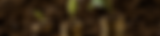 Frame 41.png
