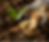 Frame 44.png