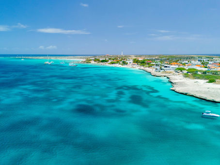 Aerial view of luxury homes near Eagle Beach, Aruba, with clear skies and turquoise water – symbolizing safe and desirable Caribbean real estate investment.