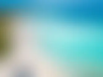 Best Beaches in Aruba and Which Ones Are Best to Live Near