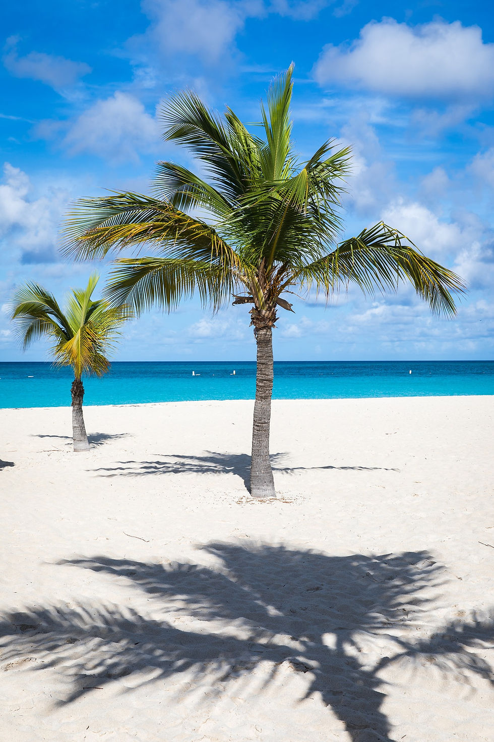 Two palm trees on a sunny beach with white sand, casting shadows. The ocean is turquoise, and the sky is clear with scattered clouds.