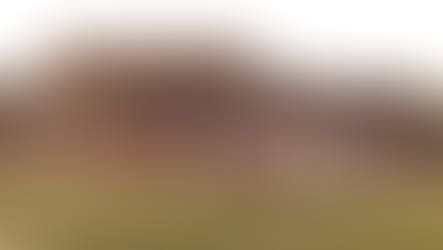 Homecoming hero leads the way for Hilton