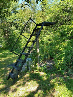 deer stand 1