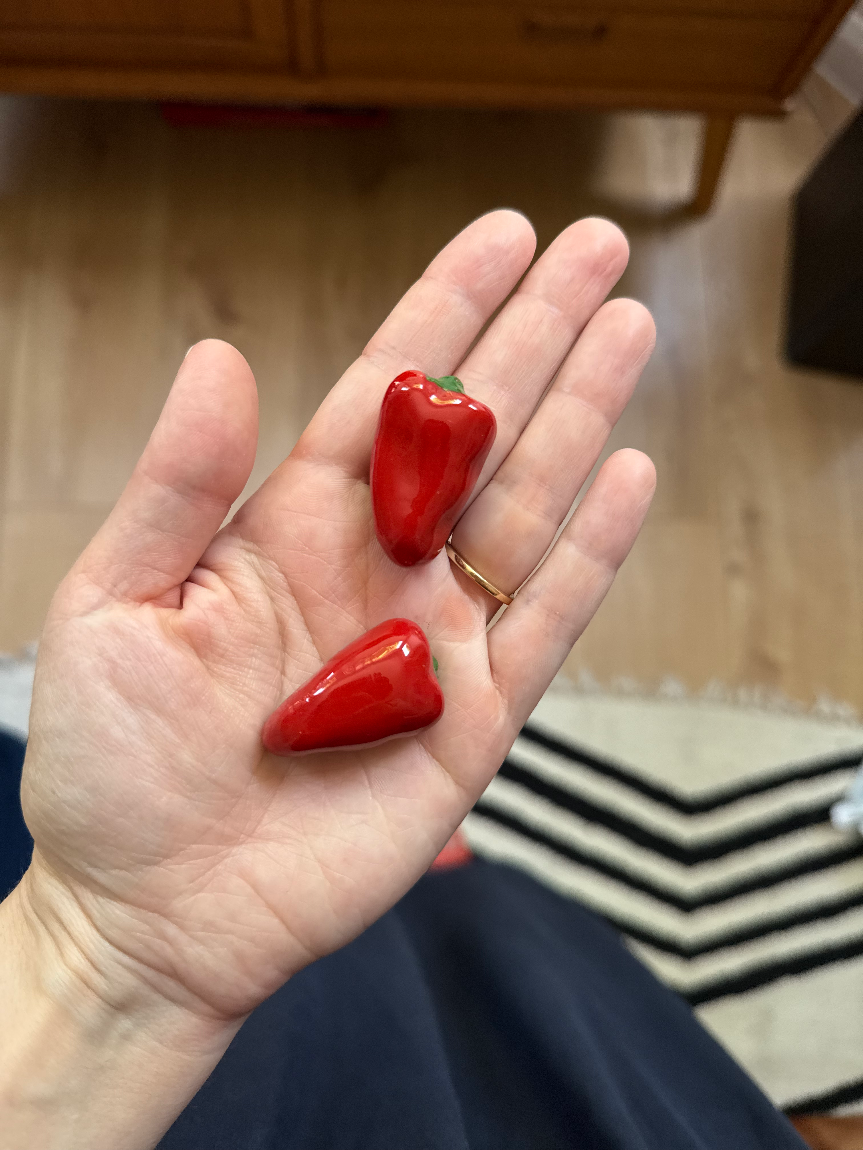 Mini chilli magnet
