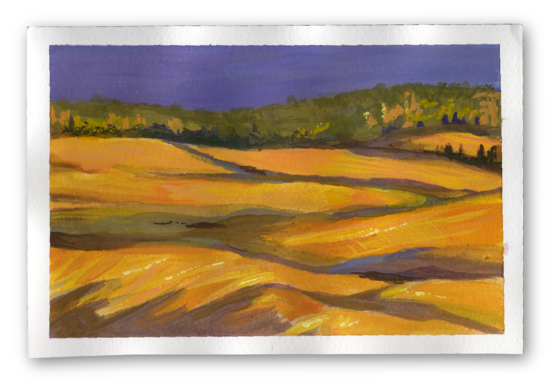 Gold Fields - Landscape Study