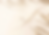 BOOK_BOTANIC (1).png