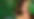 botanic.png