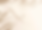 Fundo.png