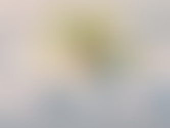 The Power of a Napkin: The Silent Signal of Elegance