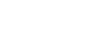disco logo