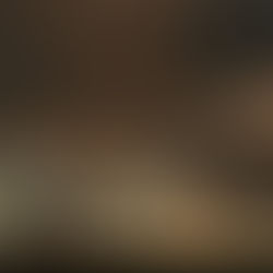 Mario & Patrizia :: Engagement