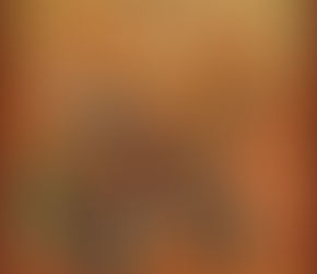 С Рождеством Христовым! Joyeux Noël ! 