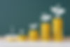 iStock-2153499291.jpg