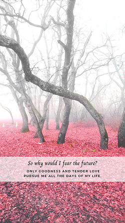 Why Fear iPhone Wallpaper.png