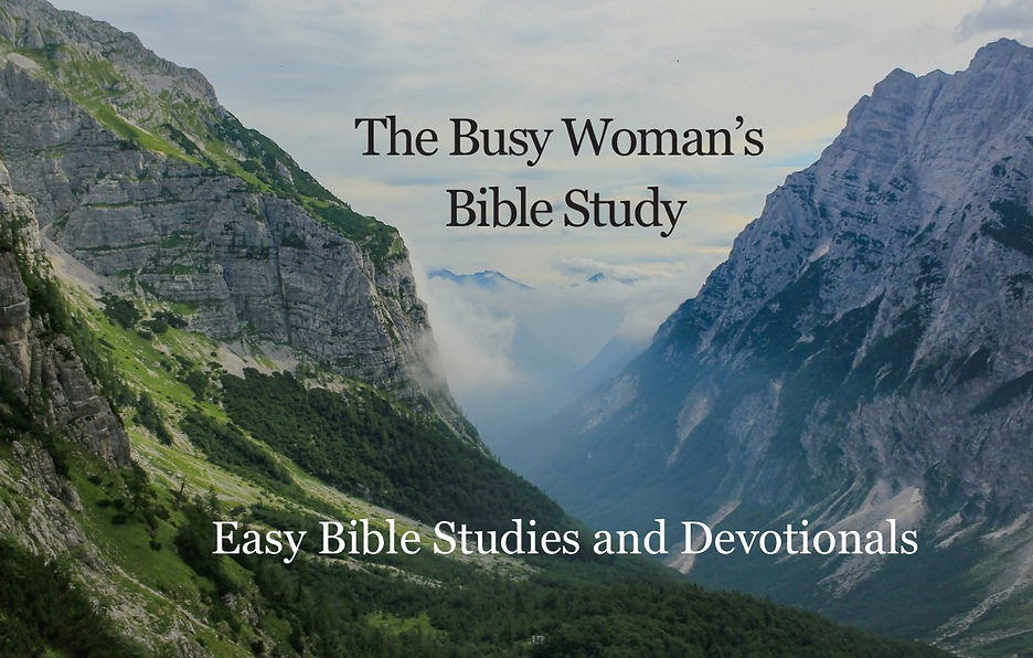 The Busy Woman’s Bible Study (2).jpeg