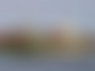 Peninsula fixes marine biofuel deal for COSCO