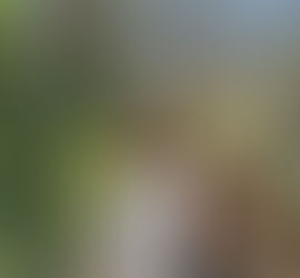 Clean Fuels Alliance Foundation awards Shiu sustainability-education grant