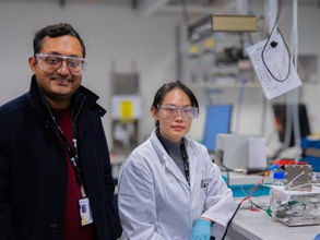 University of New South Wales researchers receive grant to scale up SAF development