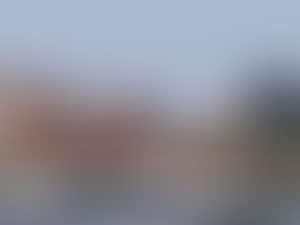 NY Waterway to transition 50% of fuel usage to renewable diesel