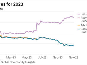 Cellulosic waiver credits in the spotlight as D3 RIN prices remain high