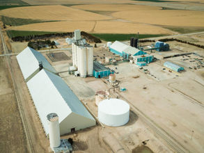 Scoular to recommission Kansas crush plant for canola, soybeans to feed renewable diesel market