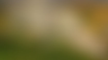 Eni greenlights another renewable diesel, SAF project at Italian refinery