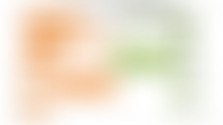 Brisk foreign trade in German rapeseed