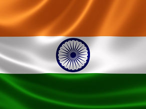 Essar Future Energy signs MOU with Gujarat government in India for new biofuel project