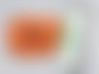 Hapag-Lloyd’s new ‘Ship Green’ relies on marine biofuel to cut customers’ CO2 emissions