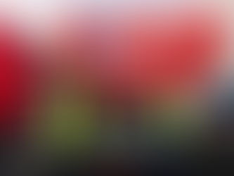 Port of Inverness, Scotland, takes 1st delivery of renewable diesel for pilot boats