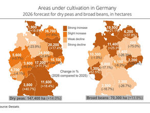 UFOP warns EU classification of soy as high-ILUC feedstock does not help primeval forests but instead harms production
