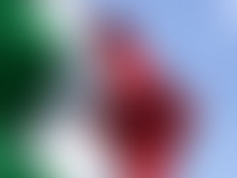 Neste welcomes Italian government’s ambition to increase use of unblended biofuels