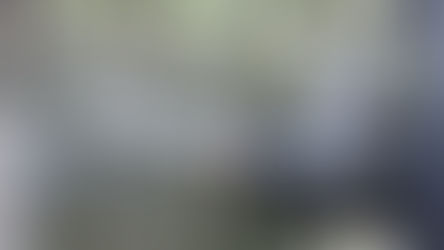 ASTM approves updated heating-oil spec to include biodiesel blends up to B50