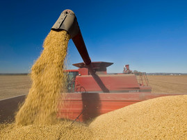 US soybean production up from September