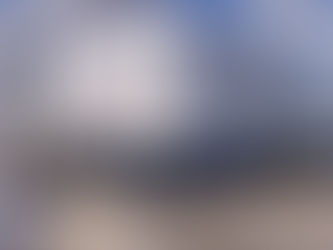 Renewable diesel surge drives Haldor Topsoe to build US catalyst plant near Houston