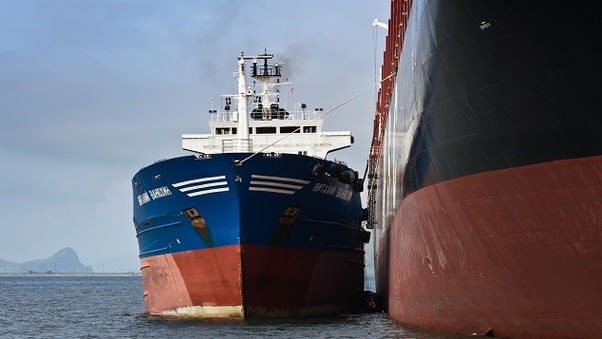 IBIA biofuel checklist issued by IMO as annex to MEPC 85/INF.10