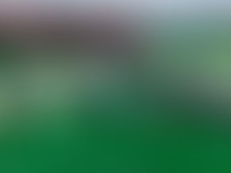 BEV, Chevron, United invest $25 million in algae firm Viridos