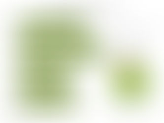 Ukraine supplies most of EU’s sunflower-oil imports