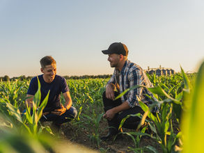 BASF, Nutrien collaborate on expanding farmer access to low-carbon biofuel markets