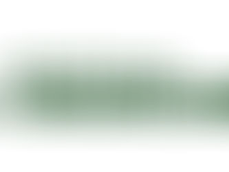 Buffalo Biodiesel announces $300 million growth partnership with Verite Capital Partners