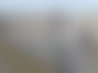 Cargill opens new advanced biodiesel plant in Belgium using BDI RepCat process