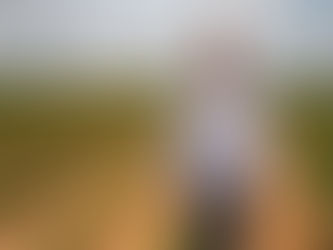 Chevron, Texas A&M AgriLife to develop high-oil peanut varieties for renewable diesel