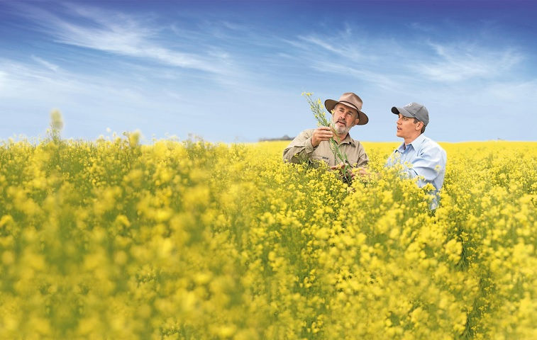 Photo: Bayer AG