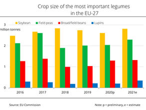 EU legume production continues to increase