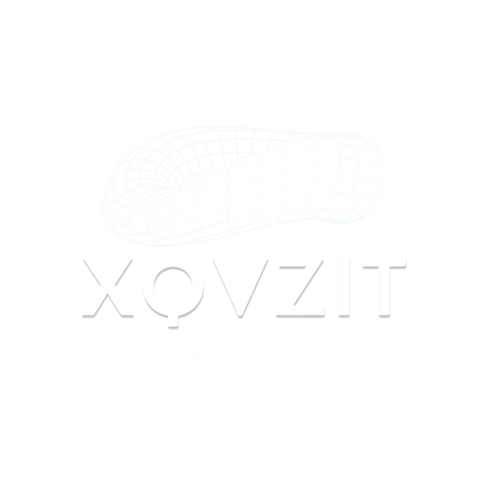 Copy of xqvzit finals cc.png