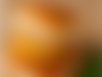 Crisp & Spicy Vada Pav: The Ultimate Home Edition
