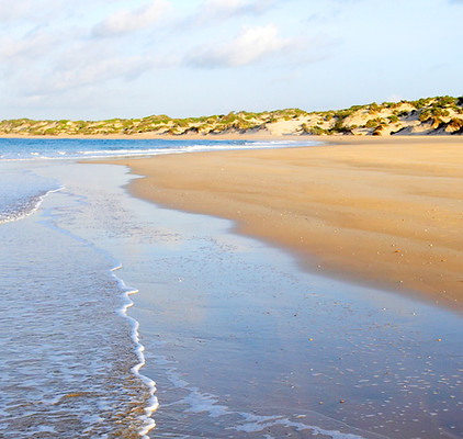 Main beach.jpg