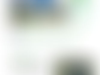 Summer Newsletter 2022